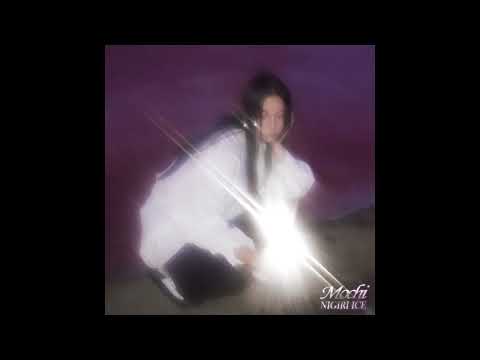 NIGIRI ICE - GYOZAS (EURO MIX)