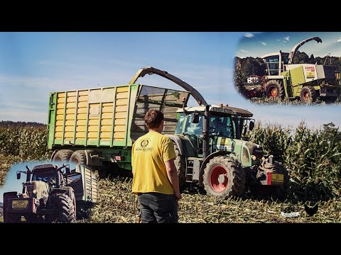 Maishäckseln mit doppelter Fendtpower/ LU Peter Kircher