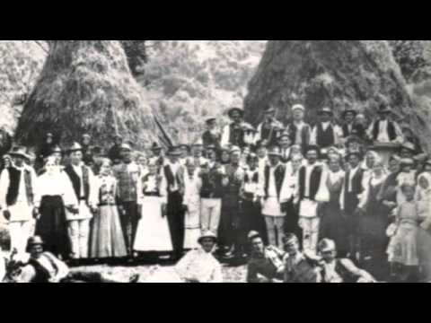 Traian Lascut Fagarasanu - Calceanca