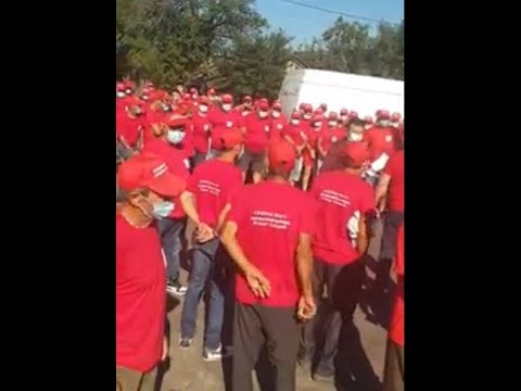 In plina pandemie , PSD Dolj arunca toate regulile la gunoi preferand sa faca o campanie murdara ..