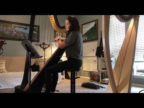 Promotional video thumbnail 1 for Wedding Harpist DFW ~ Haley Hodson