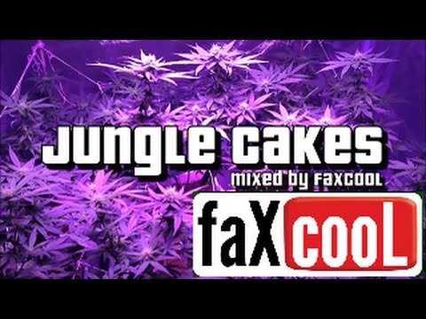 DNB MIX - DRUM AND BASS/REGGAE JUNGLE [VOL.22] (by faXcooL)