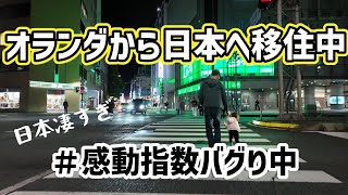【日本移住中】9年ぶりに日本で生活したら全てに感動してしまう/しばらく続きそう/バケーションで訪れた場所と共に/日本帰国/帰国/国際結婚/富士山/静岡おでん/三重/尾鷲/那智滝/日蘭家族