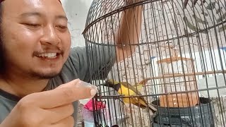 Download lagu The right hunger therapy mp3