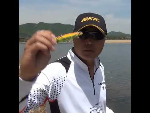 TSURINOYA DW59 85mm 10.5g, kopia Duo Realis Pencil