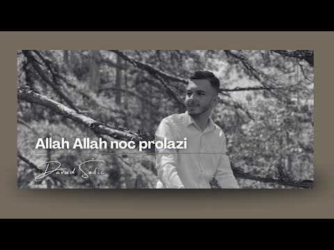 Davud Šabić - Allah Allah noć prolazi (COVER)