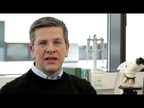 Can I clean baby bottles in the dishwasher too?