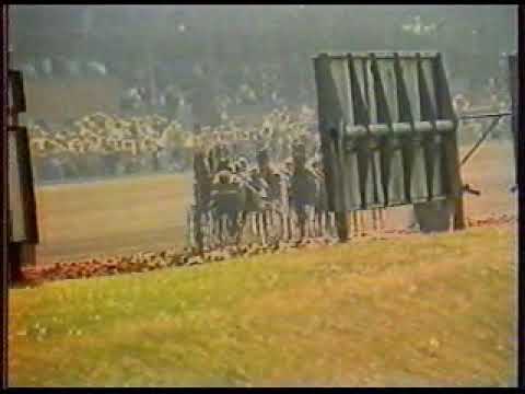 Copenhagen Cup 1980 - Ideal du Gazeau / Eugene Lefévre