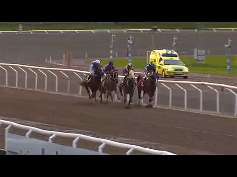 Al Nujaifi Scandinavian Arabian Derby - Jägersro Oct 5th 2017