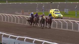 Al Nujaifi Scandinavian Arabian Derby - Jägersro Oct 5th 2017