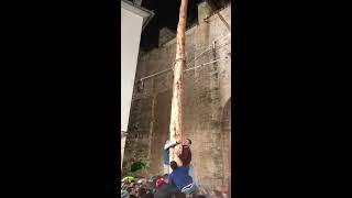 videos de risa árbol resbaladizo