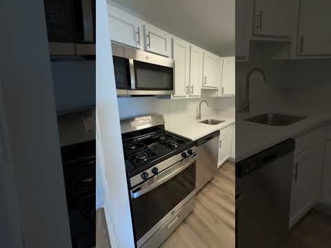 Arrive Silver Spring 1-Bedroom Virtual Tour