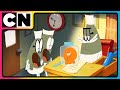 Lamput Boss S Mastertrap For The Docs Full Episode Lamputcartoon Cnindia