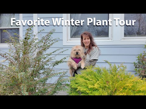 Stephany Steps in Front of the Camera (and Brings Winter Garden Stars)