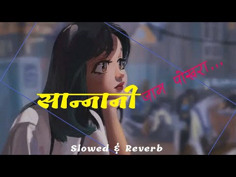 Audio Nepal-Sannani Jam Pokhara | Slowed & Reverb | SANNANI JAM POKHARA | Prashant Paudel
