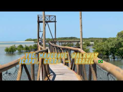 🌿 Exploring the Mangrove Walkway in Icapuí, Ceará, Brazil 🇧🇷