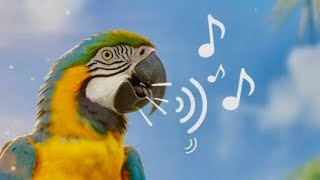 Canto de Arara, Arara Gritando, Som de Araras | Arara Canindé