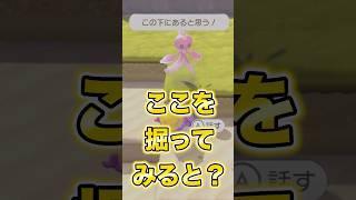 【ぽこあポケモン】ダウジングでお宝探しに出かけるとすごいところから掘らされる！【ぽこポケ】
