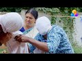 Chakkappazham Flowers Ep 147