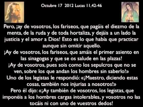 Evangelio de 17 octubre 2012