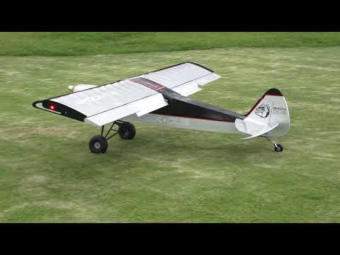 SEAGULL SAVAGE SHOCK CUB