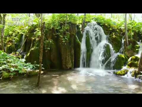 RAMAZANSKA DOVA 29. DAN - MTV IGMAN