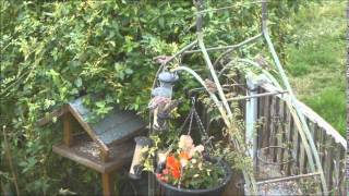 Psalm 105, Look to the Lord and His strength, seek His face always