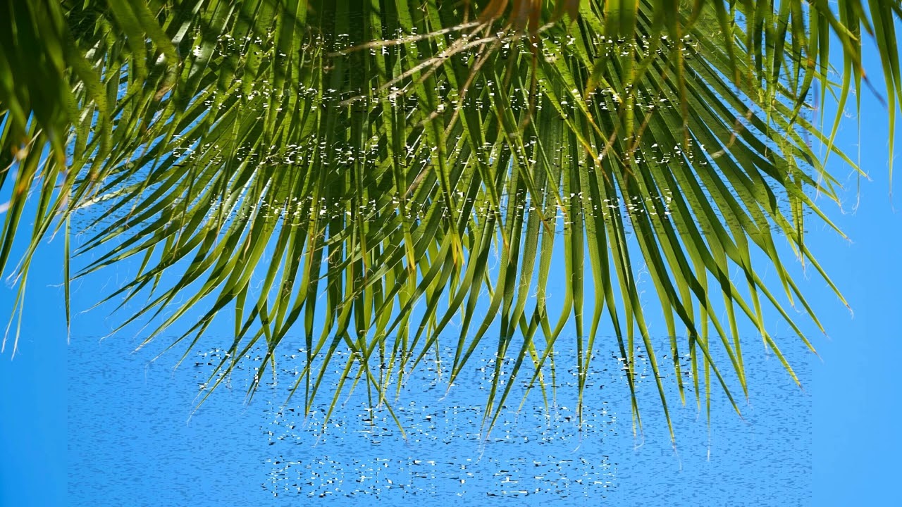 ABC 20240929 Worship