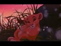 Kiara Scar Animal Nation The Wild Thornberrys Movie
