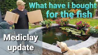 Mediclay update and surprise for the koi. Part 2 of 3