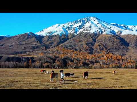 Hemu Scenic Area Is Located In The Altay Region Of Northern Xinjian