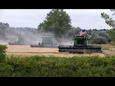 Filming a Montana barley harvest for Coors