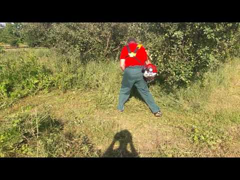 Motocoasa RURIS EXPRESS 99 la cosit de iarbă plină de Mur sălbatic .