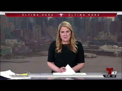 Merijoel Duran - Emergencia Corona Virus - Rueda De Prensa Bill De Blasio - Noticias Telemundo 47