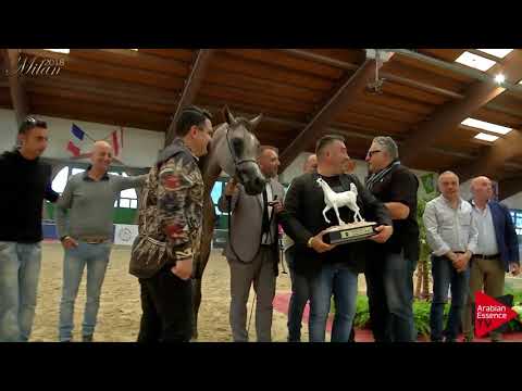 N.50 MONTE CORE - Milan 2018 - Junior Colts Championship (Class 18) 1st place