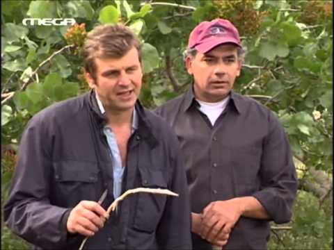 Tilebora photos ... Aleksander Rrapi