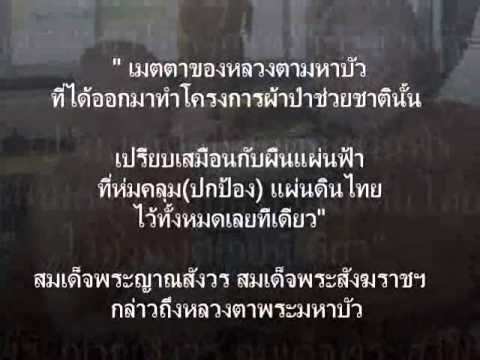 คลิกเพื่อดูคลิปวิดีโอ