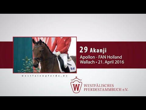 29 Akanji Wallach v. Apollon - FAN Holland