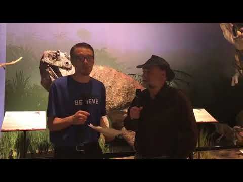 Buddy Davis' Exciting Adventure