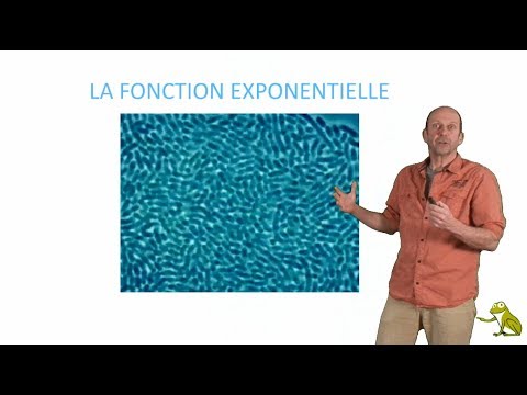 La fonction exponentielle