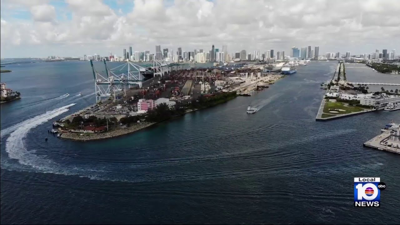 Port Everglades corals being surveyed ahead of widening $1.3 billion project