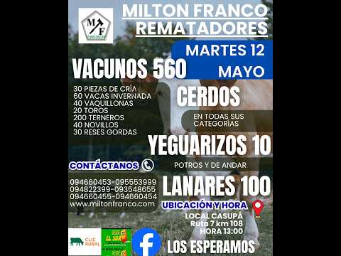 12/5/2026 Local Casupá - Florida - Feria mensual - Milton Franco | Clic Rural