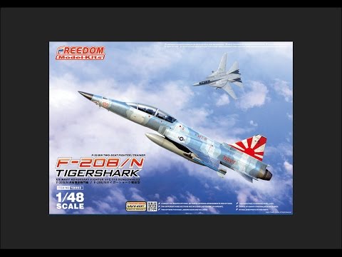 Freedom Model Kits 1/48 F-20B/N Tigershark Scale Model Review
