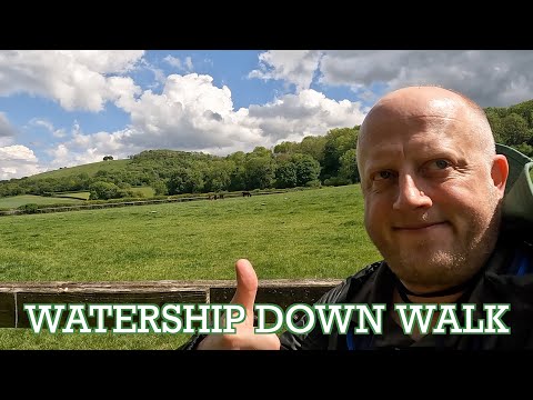 Watership Down Walk | Kingsclere Circular | 50th Anniversary of Watership Down | CDWC