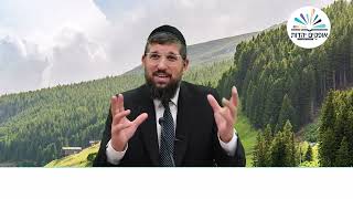 הברכה המסתורית | זרע שמשון | פרשת תולדות תשפ"ה | הרב אליהו עמר (הרב אליהו עמר) - התמונה מוצגת ישירות מתוך אתר האינטרנט יוטיוב. זכויות היוצרים בתמונה שייכות ליוצרה. קישור קרדיט למקור התוכן נמצא בתוך דף הסרטון הברכה המסתורית | זרע שמשון | פרשת תולדות תשפ"ה | הרב אליהו עמר (הרב אליהו עמר) - התמונה מוצגת ישירות מתוך אתר האינטרנט יוטיוב. זכויות היוצרים בתמונה שייכות ליוצרה. קישור קרדיט למקור התוכן נמצא בתוך דף הסרטון