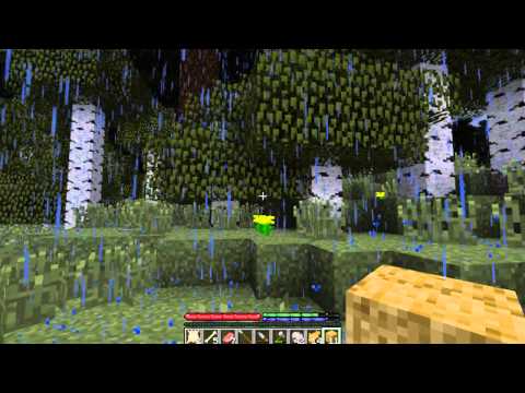 TFC Distant - 1: Wayfarers Life