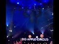 Triple Big Apple Circus