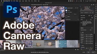 Master Adobe Camera Raw: Essential Guide for Stunning Photos
