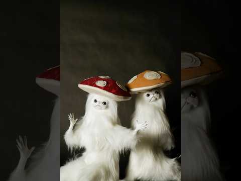 Mushroom Persian Cats #stopmotion #mushroom #stopmotionanimation #animation #meme #cute #persiancat