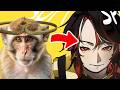 [KAZU UNSOLVED] LIVE PENAMBAH IQ DULU BIAR LU PADA PINTER